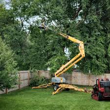 Best Storm Damage Tree Cleanup  in Muldraugh, KY