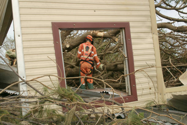 Best Tree Cabling and Bracing  in Muldraugh, KY